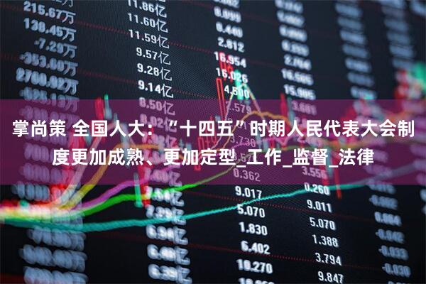掌尚策 全国人大：“十四五”时期人民代表大会制度更加成熟、更加定型_工作_监督_法律