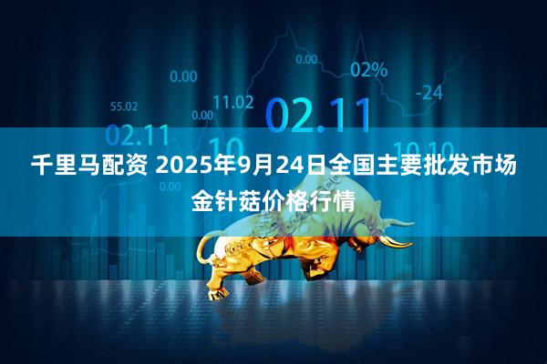 千里马配资 2025年9月24日全国主要批发市场金针菇价格行情