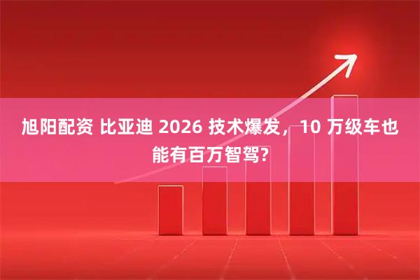 旭阳配资 比亚迪 2026 技术爆发,10 万级车也能有百万智驾?